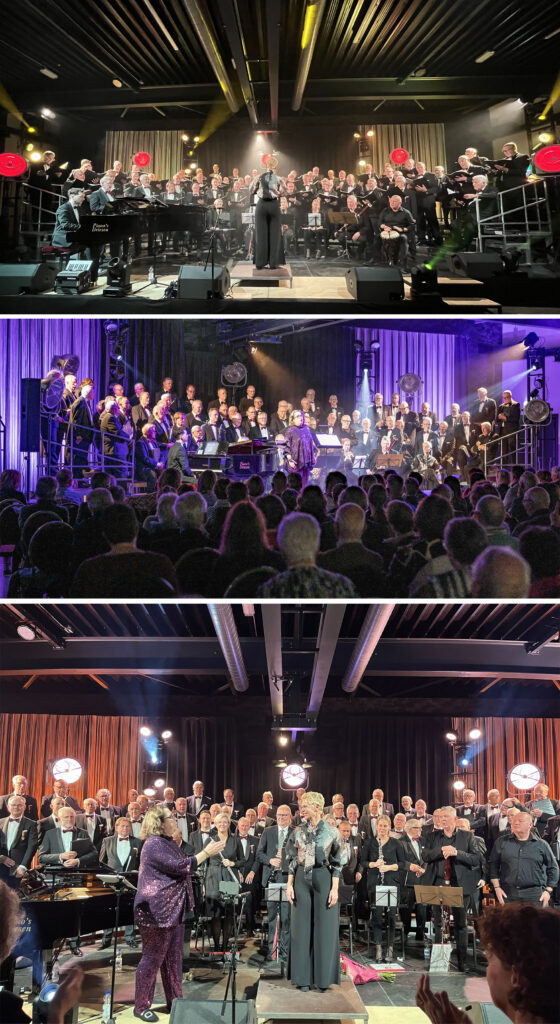 Jubileumconcert Vriendenkoor groot succes
